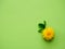 One yellow dandelion flower on a green empty background. The concept of minimalism