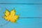 One yellow leaf on a light blue wooden