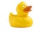 One yellow toy duckling on white background