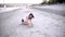 One young girl, drawing in sand, heart shaped, outdoors beach,