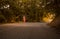 One young woman, outdoors jogging running on asphalt road, fores