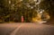 One young woman, outdoors jogging running on asphalt road, fores