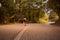 One young woman, outdoors jogging running, forest woods, road as