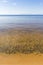 Onega Lake shore landscape. Karelia. Transparent water