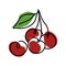 Oneline cherries.Trendy monoline,continuous line berry.Vector hand drawn illustration of healthy food