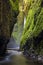 Oneonta falls in Columbia river gorge, Oregon