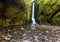 Oneonta falls in summer, Columbia river gorge, Oregon.