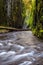 Oneonta gorge trail in Columbia river gorge, Oregon