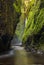 Oneonta gorge trail in Columbia river gorge, Oregon