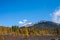 Ð¡oniferous forest on mountain slope