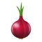 Onion 3d bulb isolated