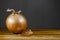 Onion on a cutting board with dark background