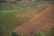 Onion field terrace in West Java, Indonesia