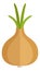 Onion flat icon. Natural vegetable. Cooking ingredient