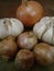 Onion garlic and bombay