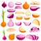 Onion icons set, cartoon style