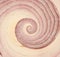 Onion infinity spiral abstract background.