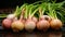 Onion plants row growing on field, close up. selective focus. nature Generative AI,
