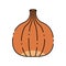 onion thanksgiving icon vector