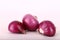The onion, is a vegetable that is the most widely cultivated species.