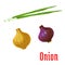 Onion vegetable with sprouted green leaves icon