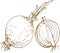 Onion vegetables  graphic illustration hand drawn print textile harvest autumn food vegetarianism healthy food salad vitamins