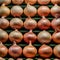 Onions attractively arranged for sale at market stall display