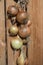 Onions hanging in the sun, wooden wall