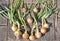 `Onions make me smile;` Growing your own avoids using plastics, transport fuel and disposable costs.