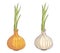 Onions with and without peel
