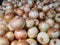 Onions vegetable are stacked on the basket for sale in the market