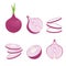 Onions whole and in slices set. Fresh purple vegetable for seasoning and baking half and cut thin rings for salad and