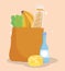 Online market, bag cheese bottle bread banana and lettuce, food delivery in grocery store