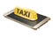 Online taxi services concept. Vector illustration decorative design
