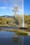 An onlooker under a rainbow watches Old Faithful Geyser spew water in St. Helena, CA.