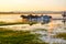 The onrushing manada in water sunrise