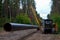 Ð¡onstructing pipelines that transport oil, gas, petroleum products and industrial gases. Dug trench in the ground for