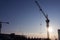 Onstruction cranes in winter on a cloudyless sky and rising sun background.