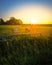 Ontario Farm Sunset