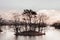 Onuma Koen Quasi -National park lake in peaceful cold winter with leafless tree. Hakodate, Hokkaido - Japan