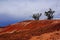 Oodnadatta Track Mesa