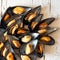 ï¿½ooked mussels close up. Top view