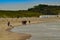 Oosterschelde, the Netherlands, August 2019. The north sea coast: large beaches as far as the eye can see, very few people walking