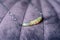 Opal gemstone necklace on pink velvet