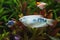 Opaline gourami, Trichopodus trichopterus, freshwater fish from Asia, popular farming and aquarium trade species in nature design