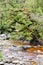 Oparara Basin at Karamea in the South Island of New Zealan