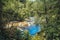 Oparara River flows through idyllic rainforest at Oparara basin arch, South Island, New Zealand