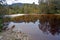 The Oparara River Near Karamea, New Zealand