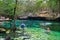 Open air cenote at the Yucatan jungle in Mexico