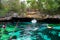 Open air cenote at the Yucatan jungle in Mexico